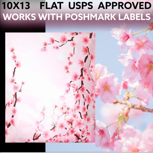 25 10X13 Posh Picks Bundle Poly Mailers PRICE FIRM - Picture 4 of 7